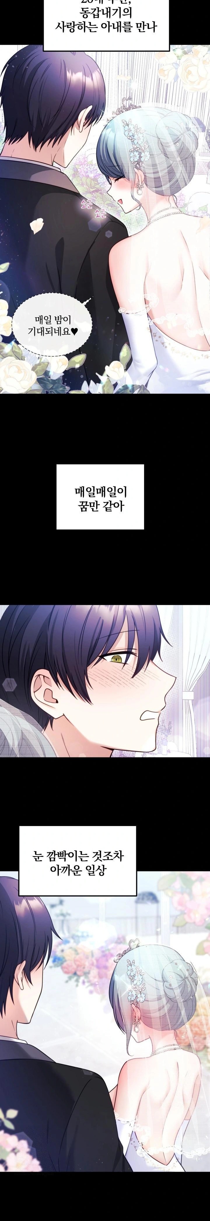 Wife VTuber Raw - Chapter 1 Page 5